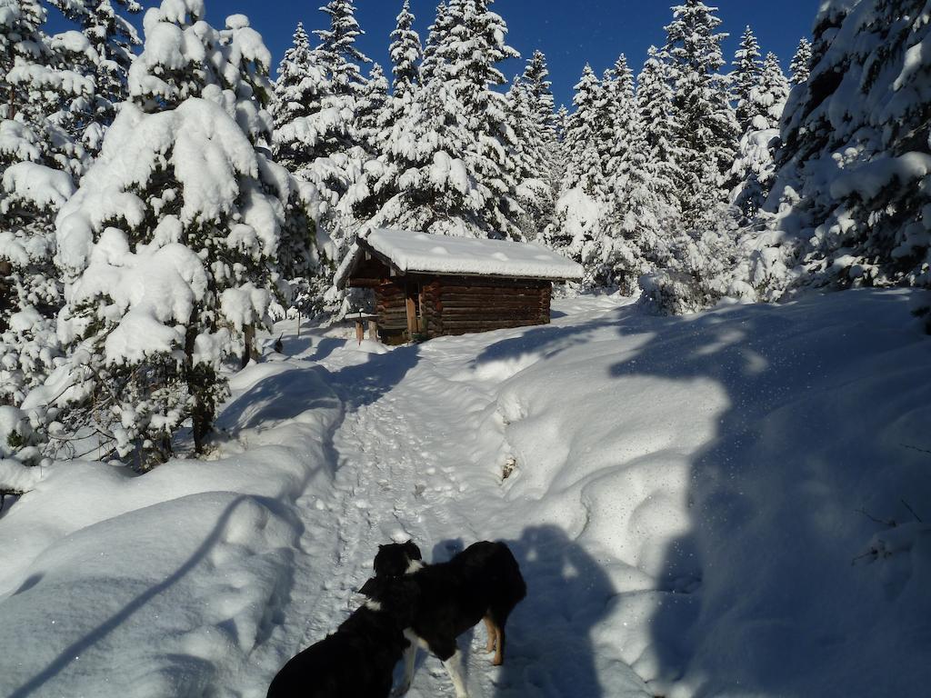 Pension Karner Bed and Breakfast Mittenwald Exteriör bild